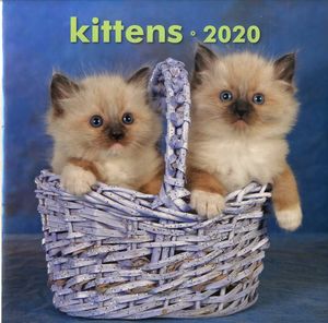 2020 CALENDARIO PARED KITTENS