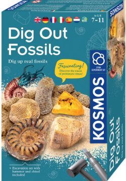 DIG OUT FOSSILS - DIG UP REAL FOSSILS