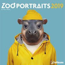 CALENDAR 2019 ZOO PORTRAITS