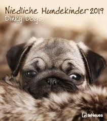 CALENDAR 2019 DINKY DOGS / NIEDLICHE HUNDEKINDER