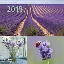 CALENDAR 2019 BEAUTIFUL MOMENTS