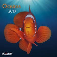 CALENDAR 2019 OCEANS