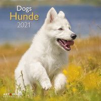 CALENDAR 2021 HUNDE DOGS