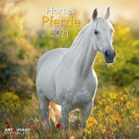 CALENDAR 2021 HORSES / PFERDE