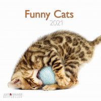 CALENDER 2021 FUNNY CATS