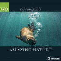 CALENDER 2021 GEO AMAZING NATURE