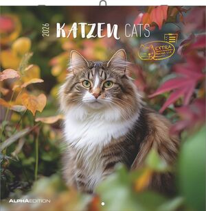 CALENDARI 2026 KATZEN CATS