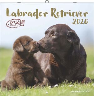 CALENDARI 2026 LABRADOR RETRIEVER