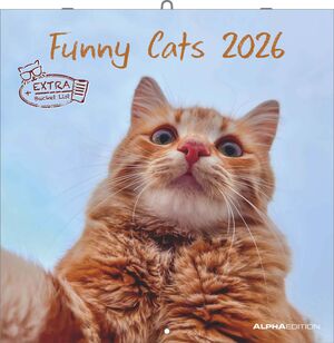 CALENDARI 2026 FUNNY CATS