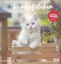 CALENDARI 2027 VELVET PAW / SAMTPFOTCHEN