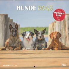 CALENDARI 2027 DOGS / HUNDE