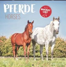 CALENDARI 2027 HORSES / PFERDE