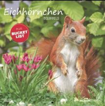 CALENDARI 2027 SQUIRRELS