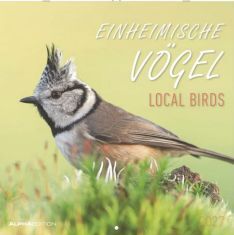 CALENDARI 2027 LOCAL BIRDS / EINHEIMISCHE VOGEL