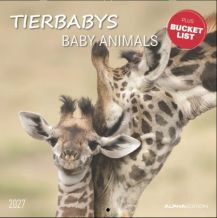 CALENDARI 2027 BABY ANIMALS