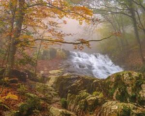 CALENDARI 2027 EL MONTSENY