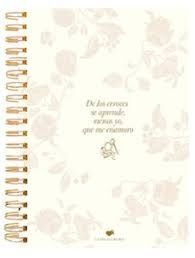 LIBRETA DE LOS ERRORES SE APRENDE GRANDE (A4)