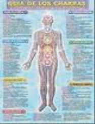 GUIA DE LOS CHAKRAS - LÁMINA