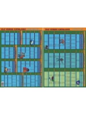 VERBS CATALANS, ELS ( LÀMINA )