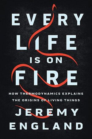 EVERY LIFE IS ON FIRE