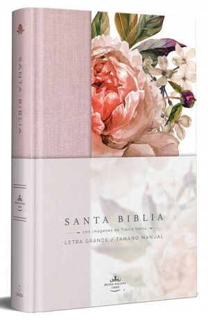 BIBLIA REINA VALERA 1960 LETRA GRANDE.
