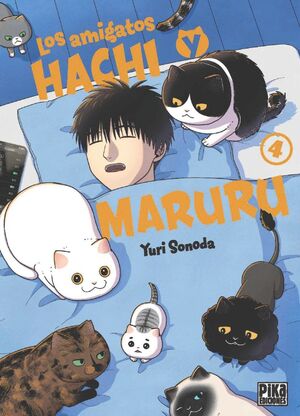 AMIGATOS HACHI Y MARURU 04, LOS