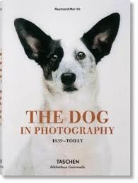 DOG IN PHOTOGRAPHY 1839 TODAY (AL/FR/IN), THE