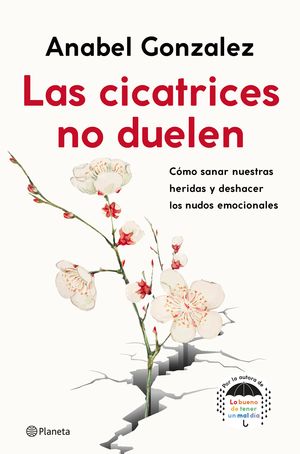 CICATRICES NO DUELEN, LAS