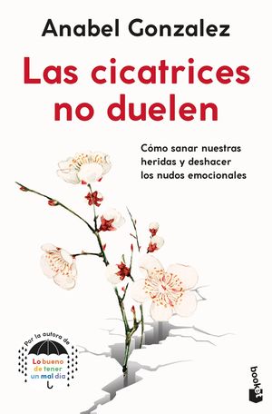 CICATRICES NO DUELEN, LAS