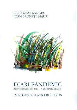 DIARI PANDÈMIC