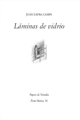 LÁMINAS DE VIDRIO