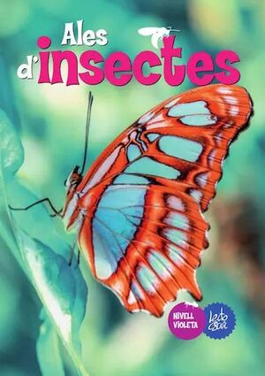 ALES D'INSECTES