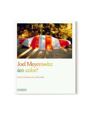 JOEL MEYEROWITZ: ¿EN COLOR?