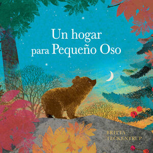 HOGAR PARA PEQUEÑO OSO, UN