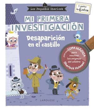 DESAPARICIÓN EN EL CASTILLO (MI PRIMERA INVESTIGACIÓN)