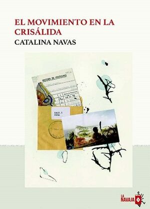 MOVIMIENTO EN LA CRISÁLIDA, EL