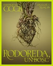 RODOREDA, UN BOSC