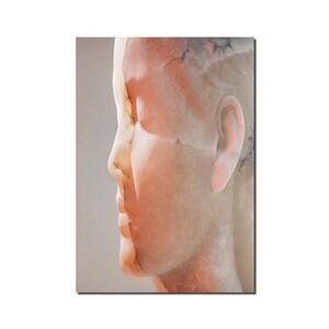 JAUME PLENSA: INNER MATTER / MATERIA INTERIOR