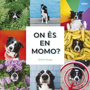 ON ÉS EN MOMO?