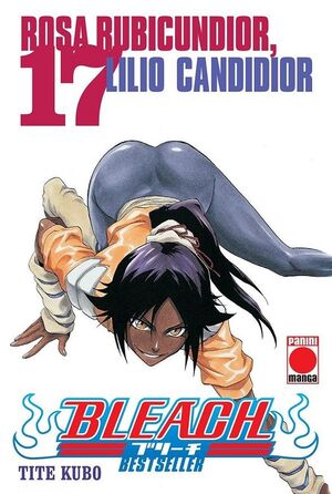 BLEACH BESTSELLER VOL. 17