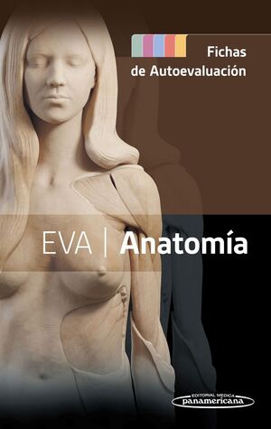 EVA - ANATOMIA FICHAS DE AUTOEVALUACIÓN