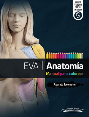 EVA  ANATOMÍA. MANUAL PARA COLOREAR