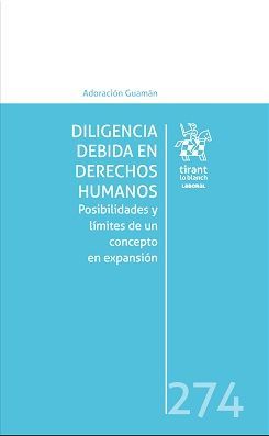 DILIGENCIA DEBIDA EN DERECHOS HUMANOS