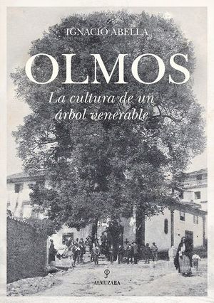 OLMOS. LA CULTURA DE UN ÁRBOL VENERABLE