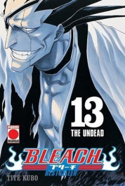 BLEACH BESTSELLER N.13