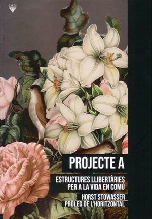 PROJECTE A