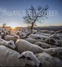 PALLARS. TERRA DE CORDER