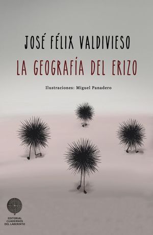 GEOGRAFÍA DEL ERIZO, LA