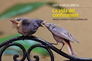 VIDA DEL CONFINAMENT: IMATGES I HISTORIES D'OCELLS A GRANOLLERS