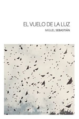 VUELO DE LA LUZ, EL